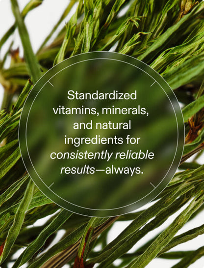 Women's Hair Growth Nutraceutical